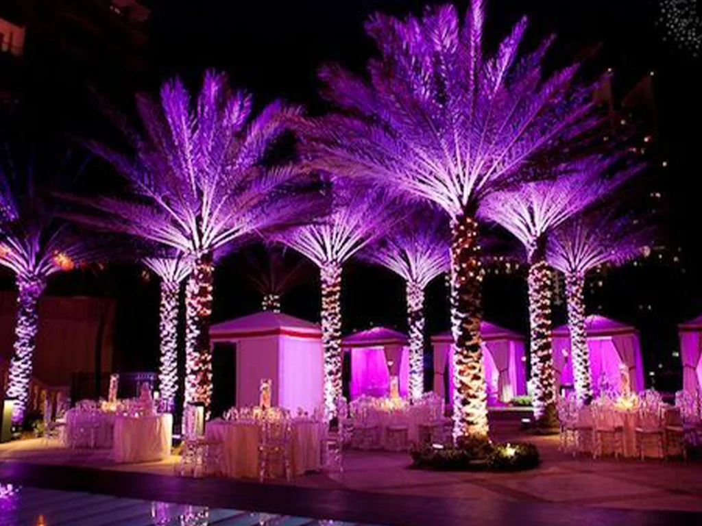 Uplight Rental wedding lighting rent phoenix arizona